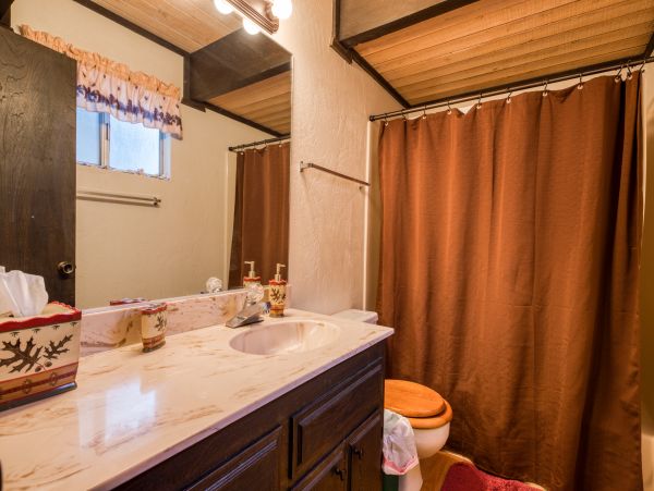 Big Bear Home 976063
