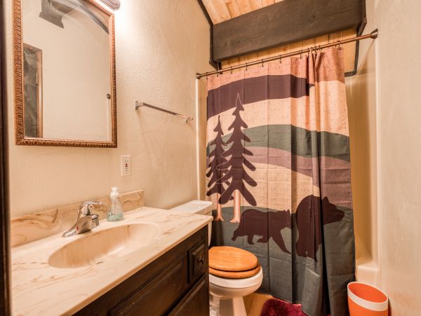 Big Bear Home 976063