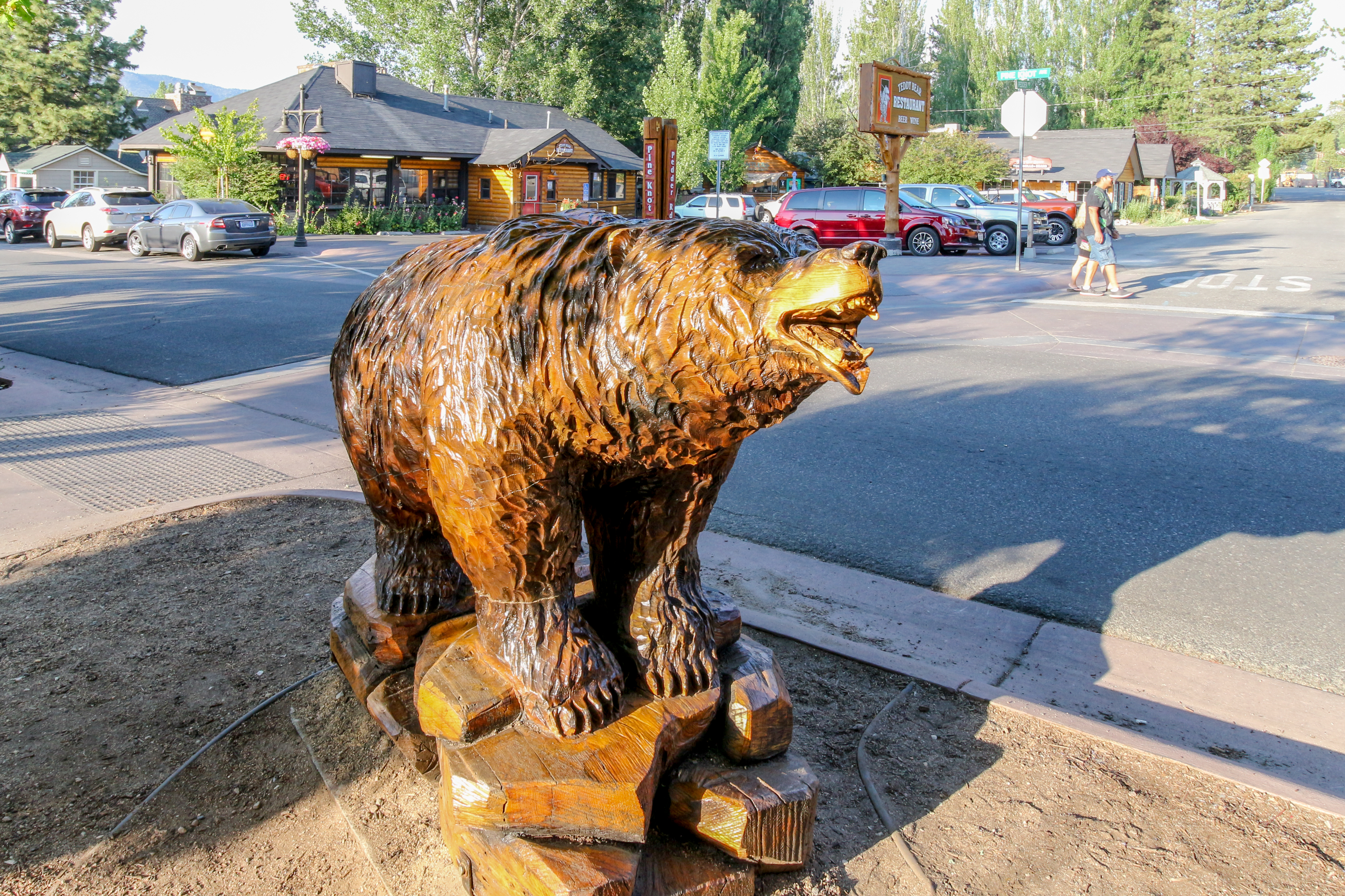 Big Bear Home 976065