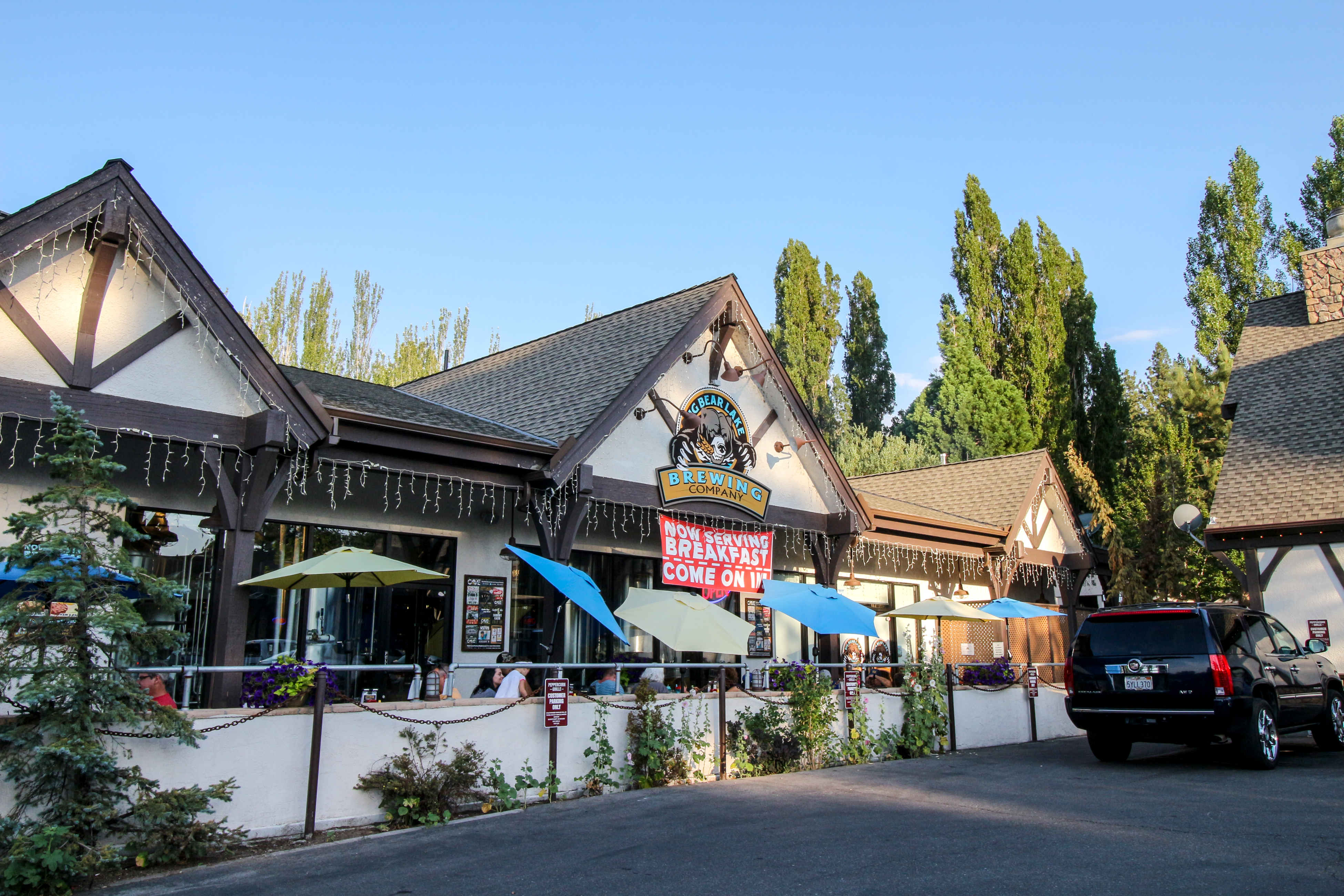 Big Bear Home 976065