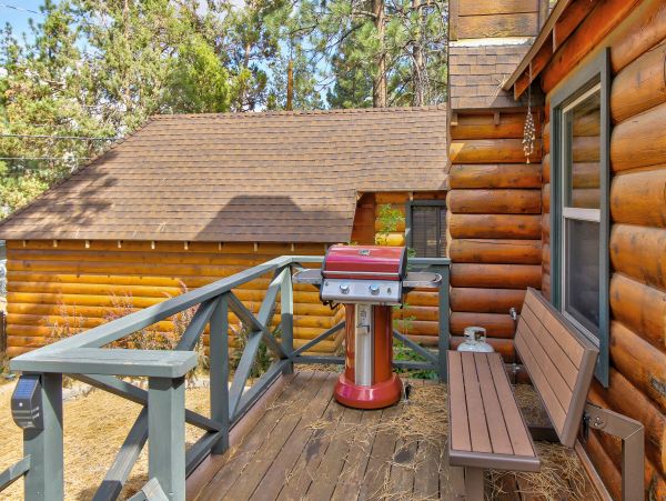 Big Bear Home 976068