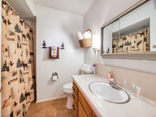 Big Bear Home 976069