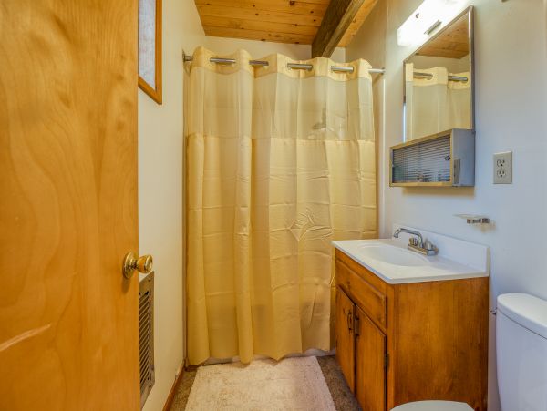 Big Bear Home 976070