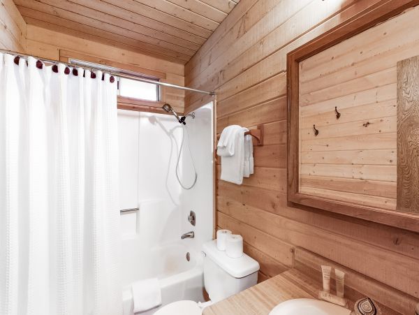Big Bear Home 976071