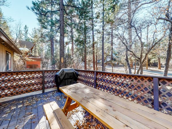 Big Bear Home 976071