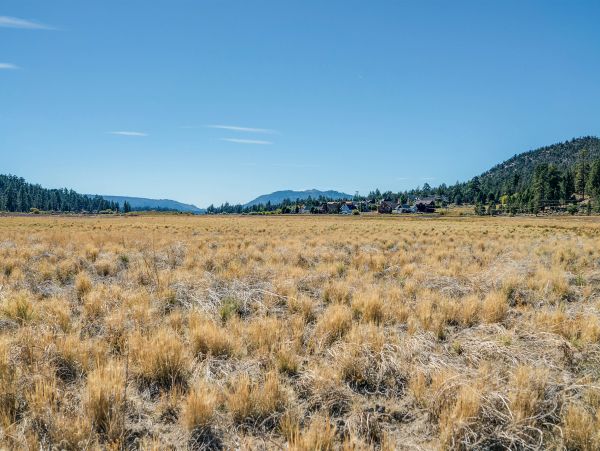 Big Bear Home 976072