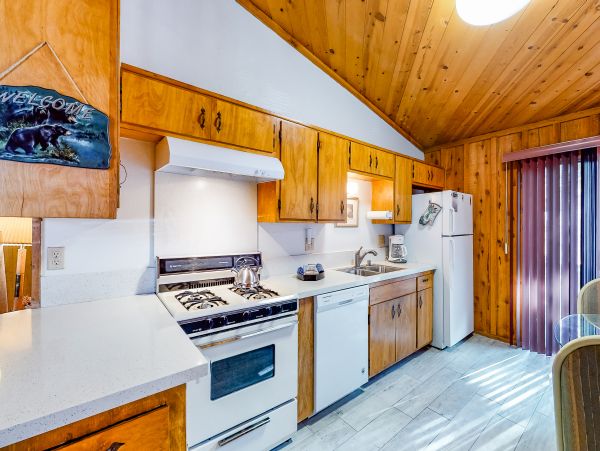 Big Bear Home 976073