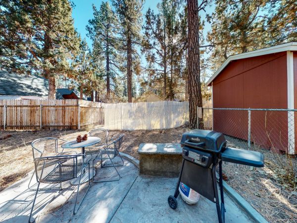 Big Bear Home 976073