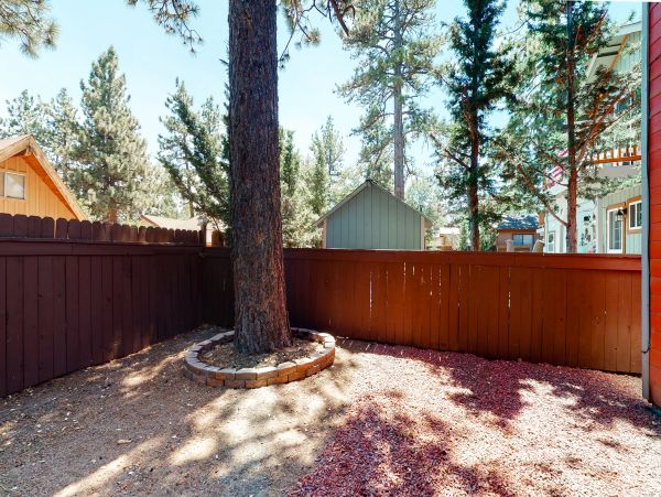 Big Bear Home 976074