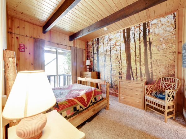 Big Bear Home 976075