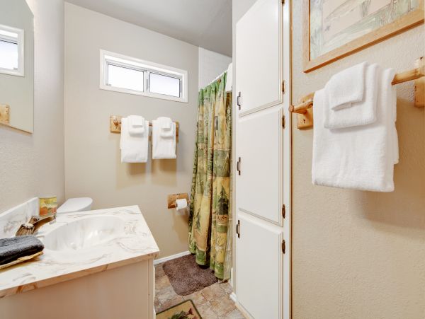Big Bear Home 976075