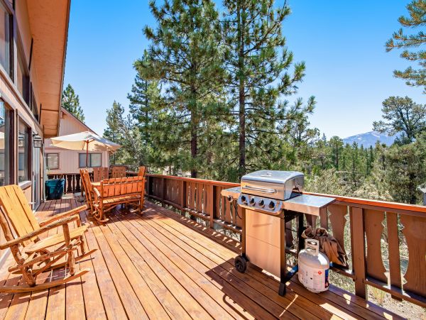 Big Bear Home 976075