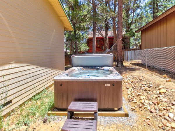 Big Bear Home 976076