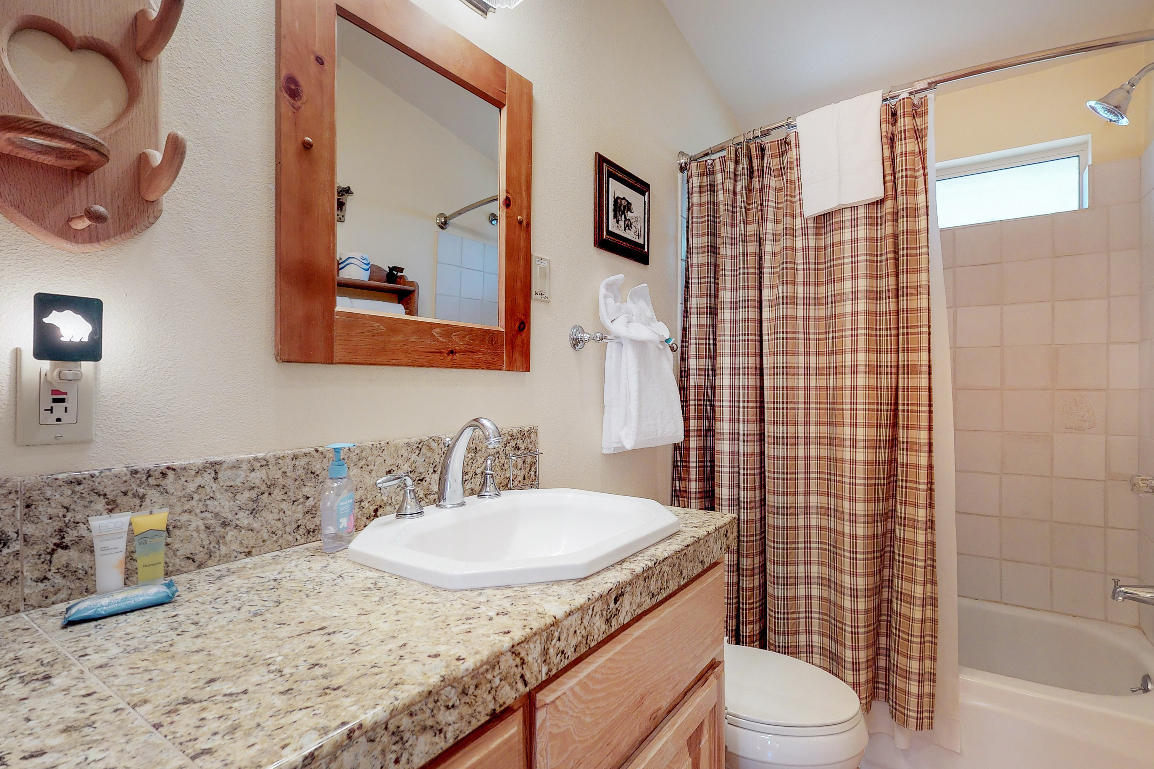 Big Bear Home 976076