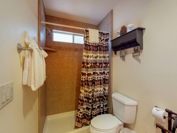 Big Bear Home 976076