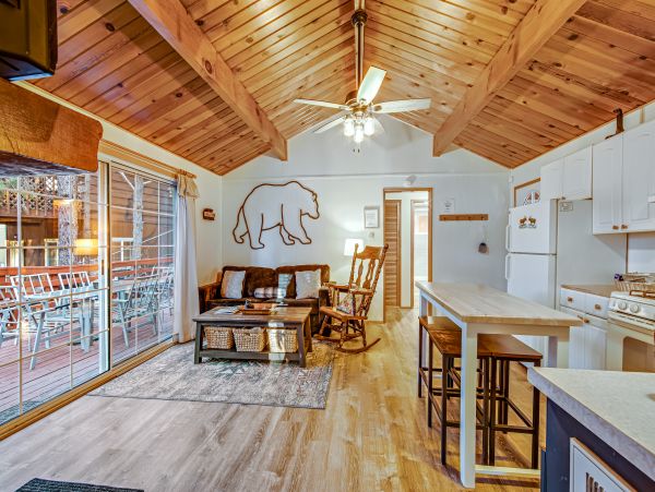 Big Bear Home 976077