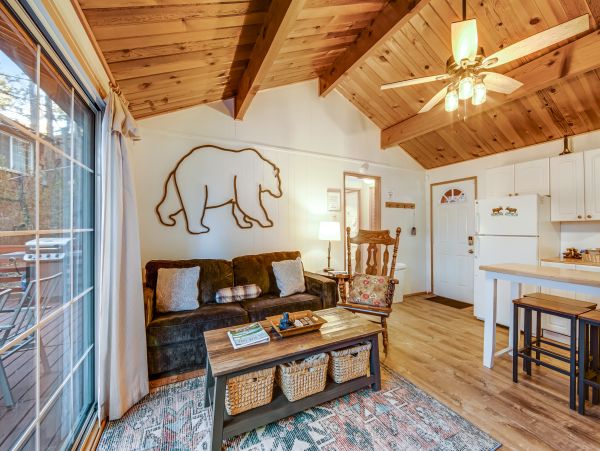 Big Bear Home 976077