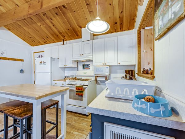 Big Bear Home 976077