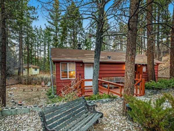 Big Bear Home 976077