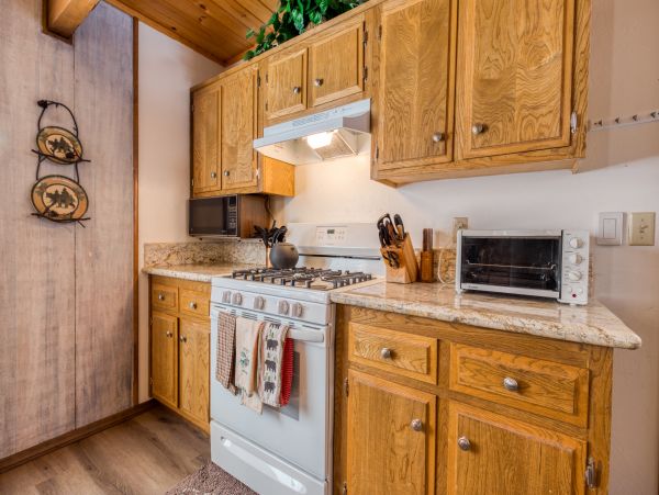 Big Bear Home 976078