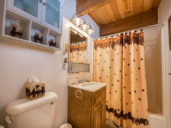 Big Bear Home 976078