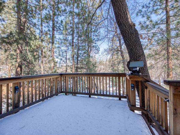 Big Bear Home 976078