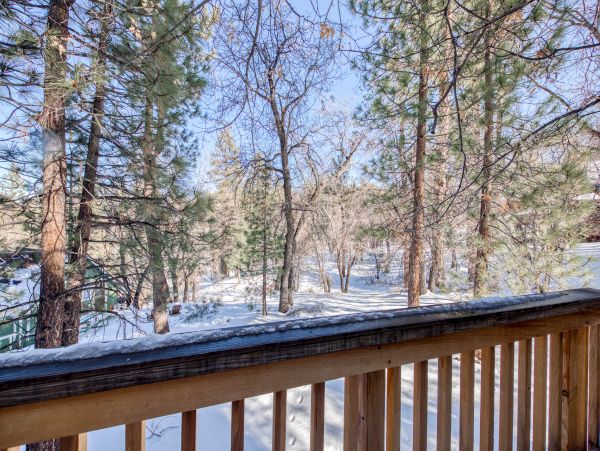 Big Bear Home 976078
