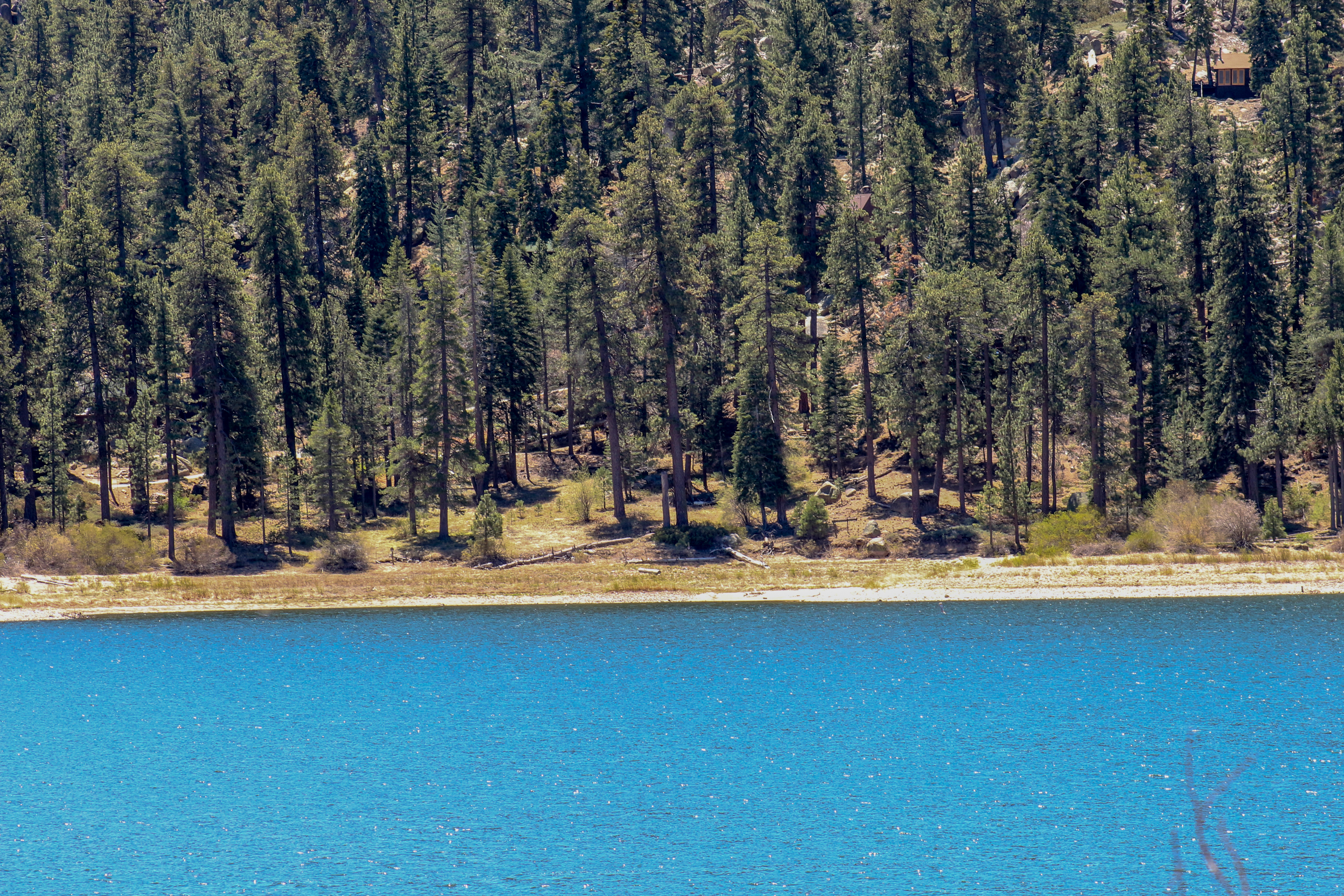 Big Bear Home 976079