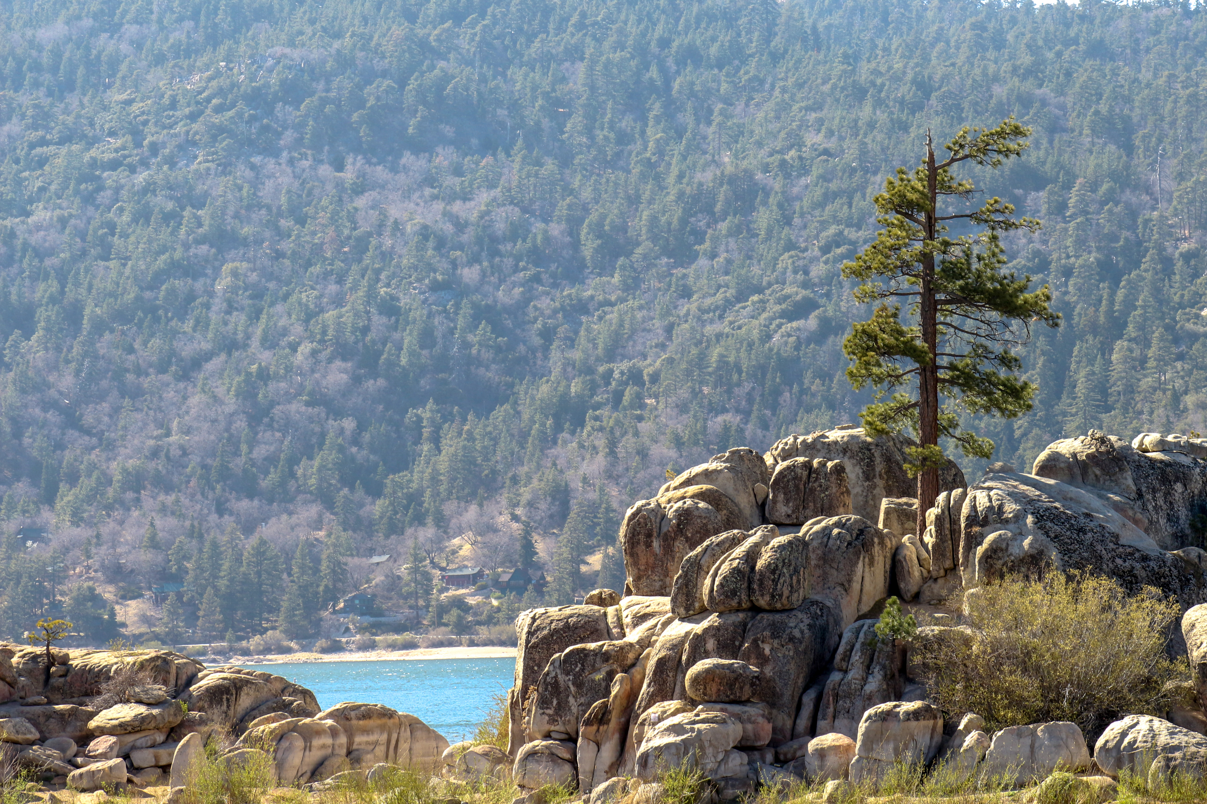 Big Bear Home 976079