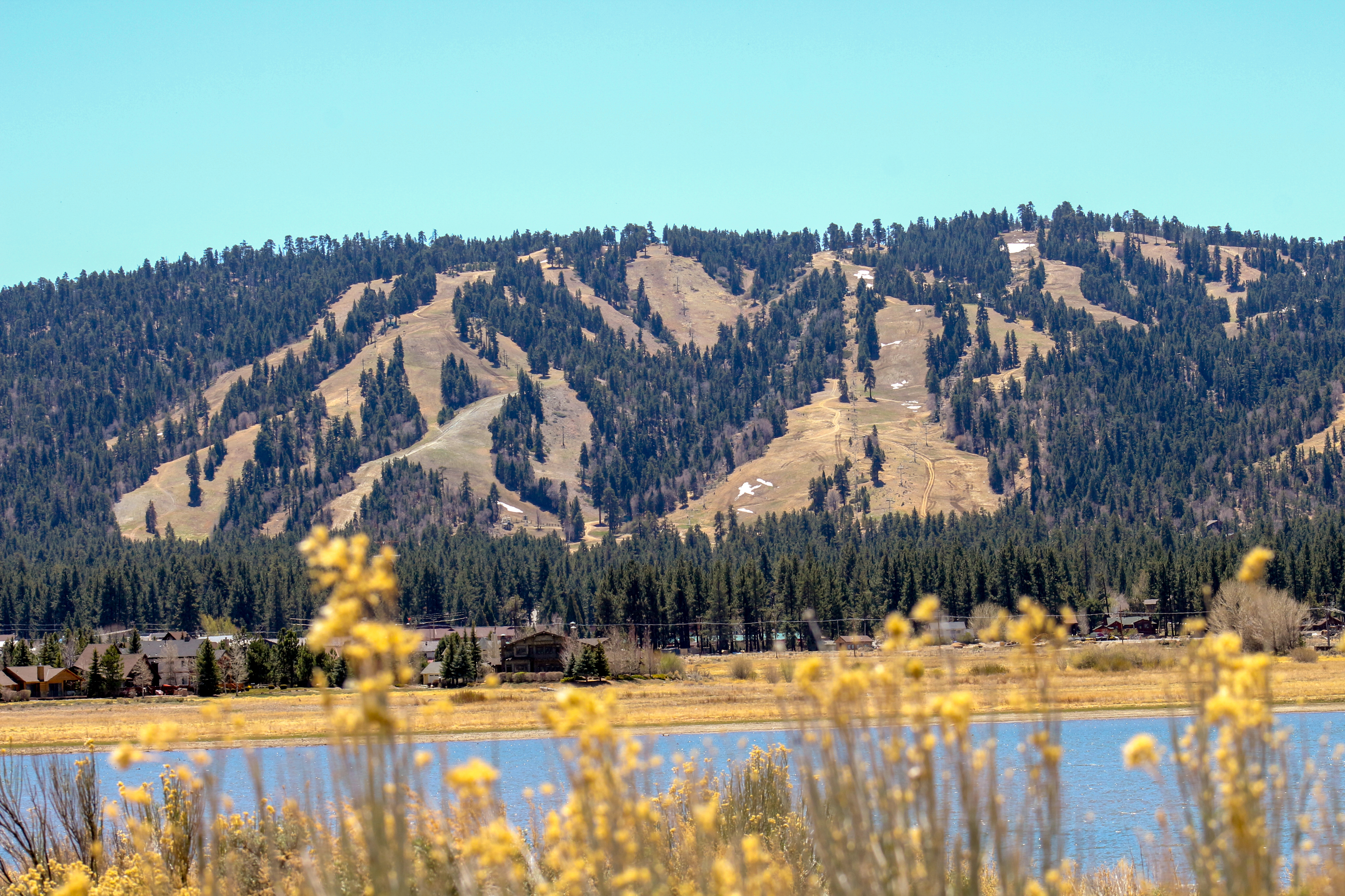 Big Bear Home 976080