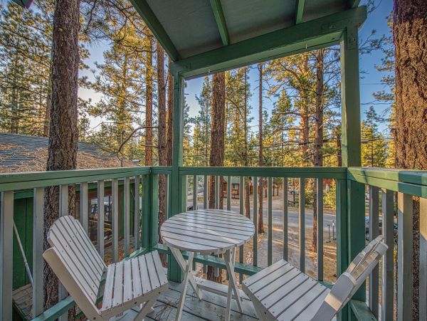 Cozy Dog-Friendly 2 Bedroom Cabin Sleeps 5