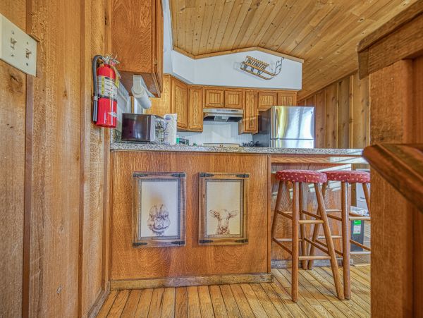 Cozy Dog-Friendly 2 Bedroom Cabin Sleeps 5