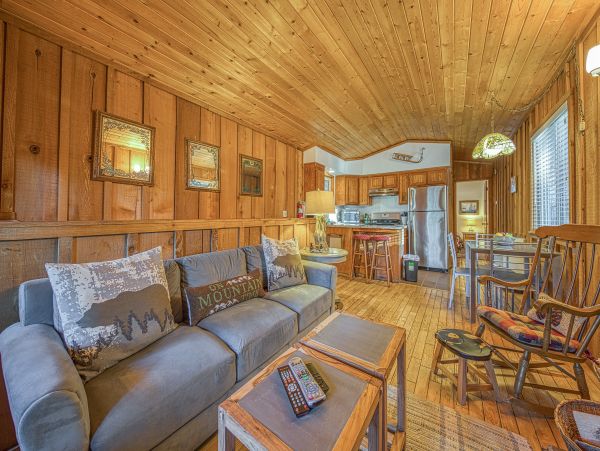 Cozy Dog-Friendly 2 Bedroom Cabin Sleeps 5