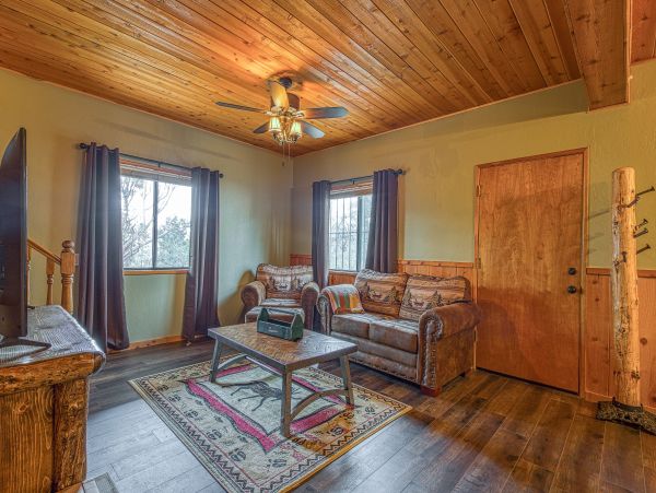 Big Bear Home 976084