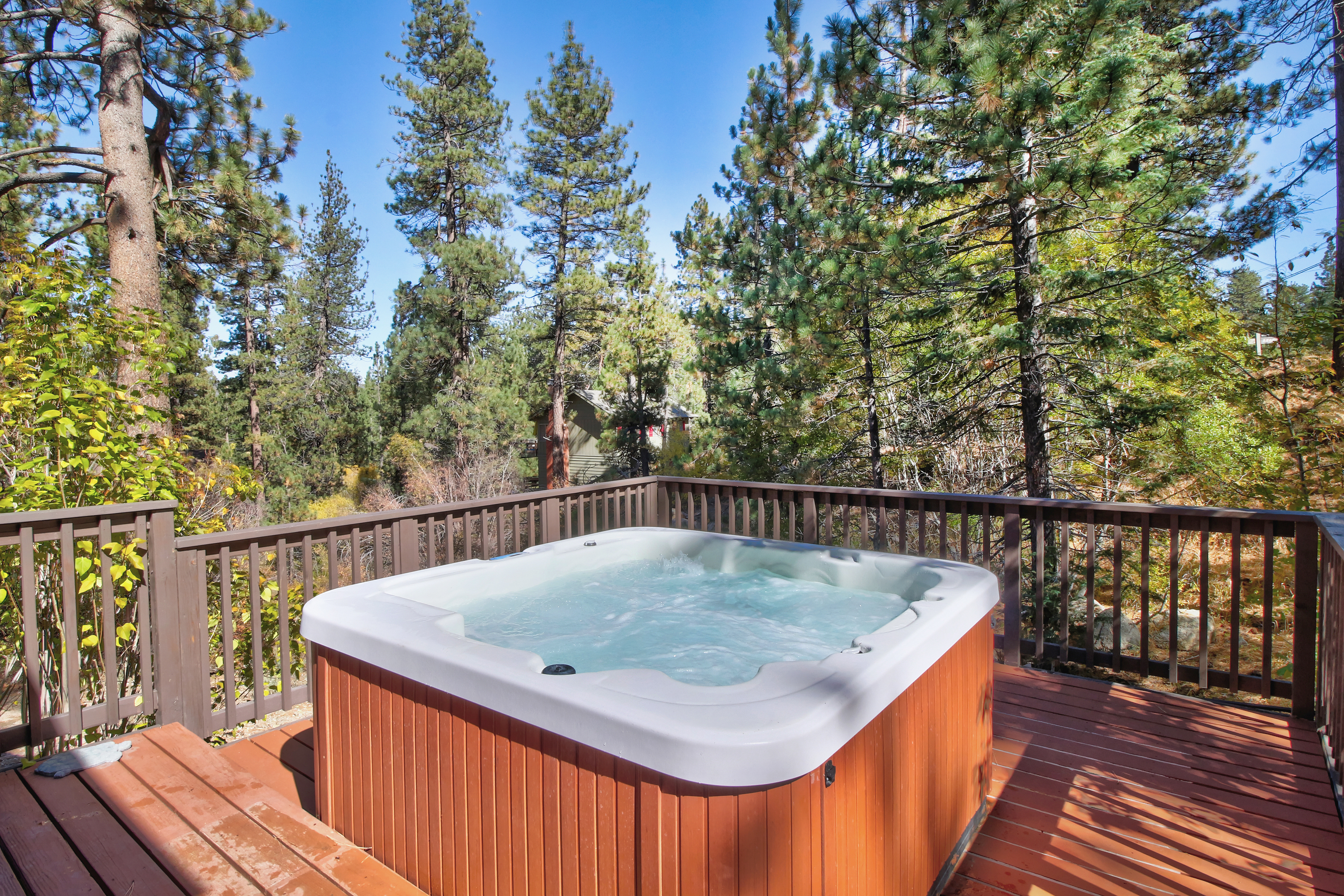 Big Bear Home 976088
