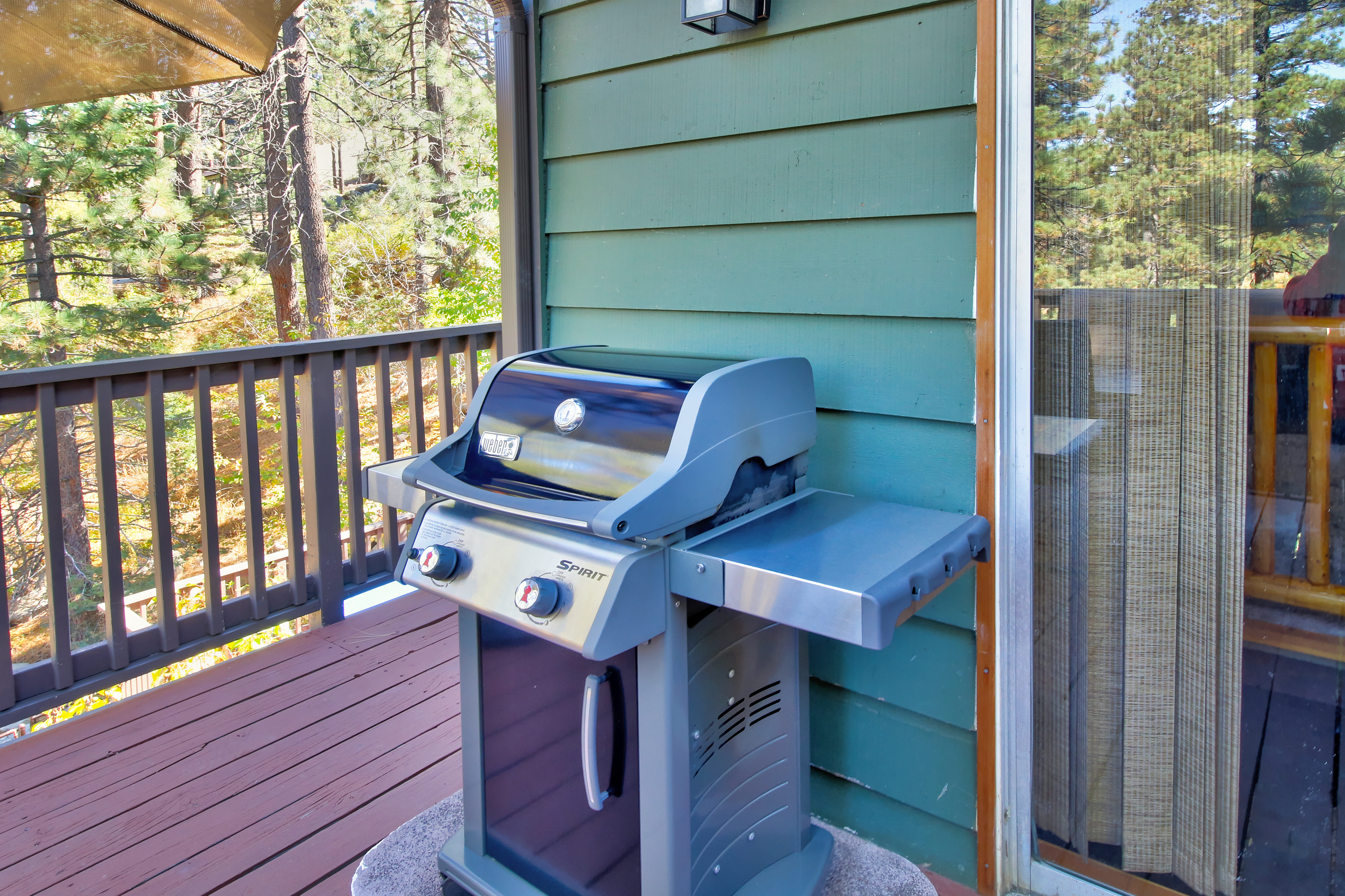 Big Bear Home 976088