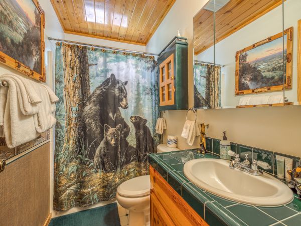Big Bear Home 976090