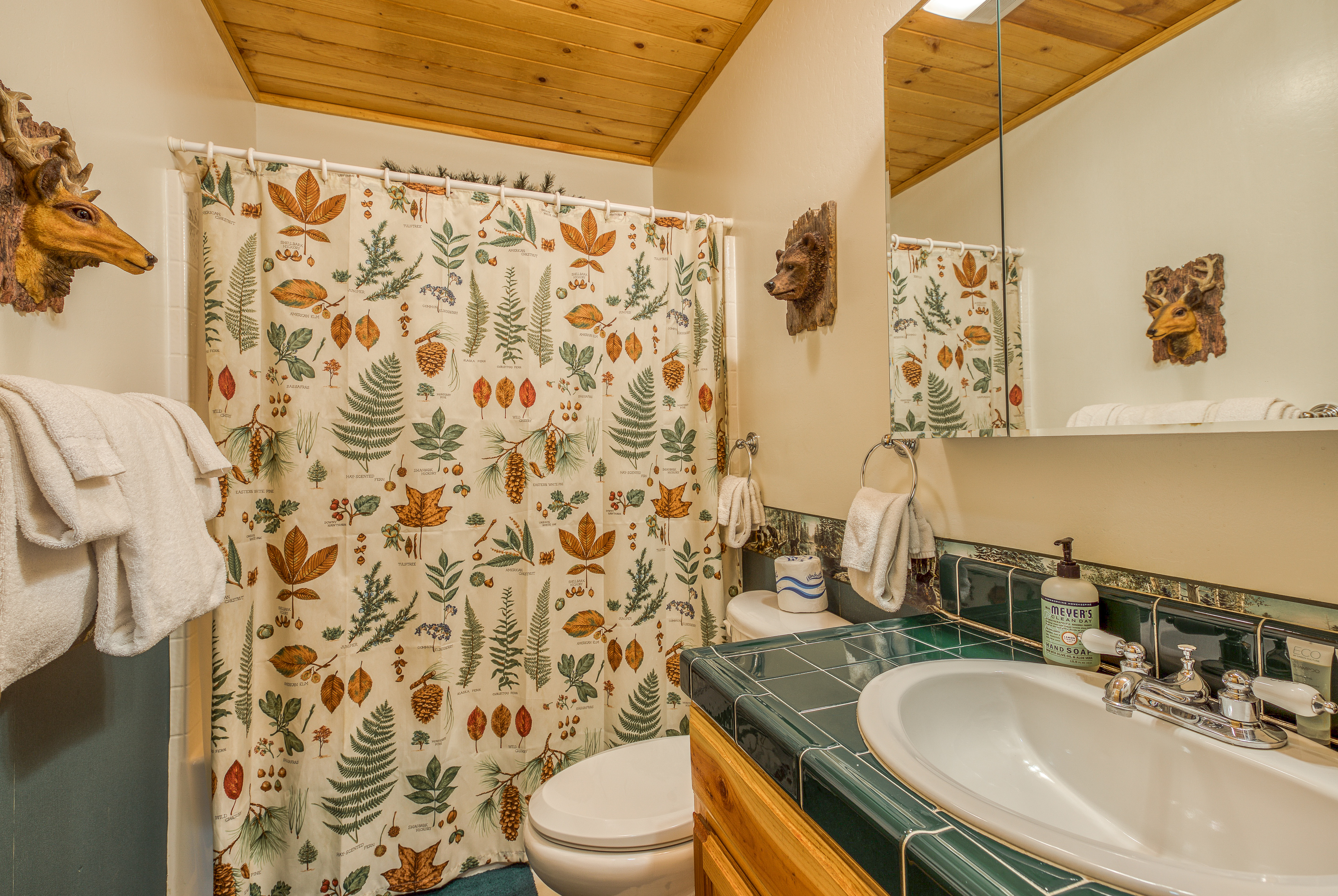 Big Bear Home 976090