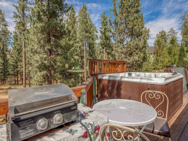 Big Bear Home 976090