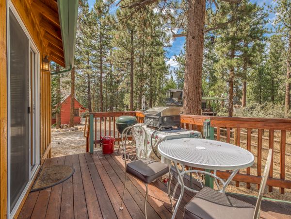 Big Bear Home 976090