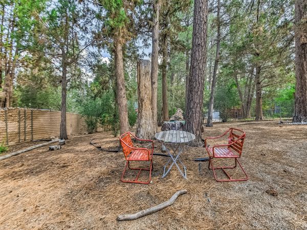 Big Bear Home 976091