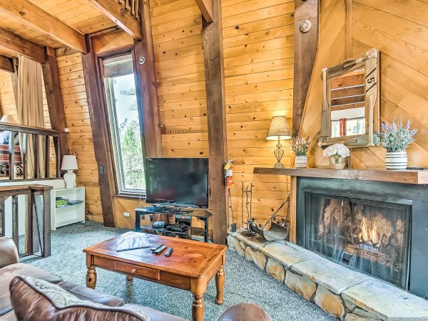Big Bear Home 976091