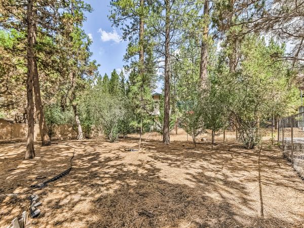 Big Bear Home 976091