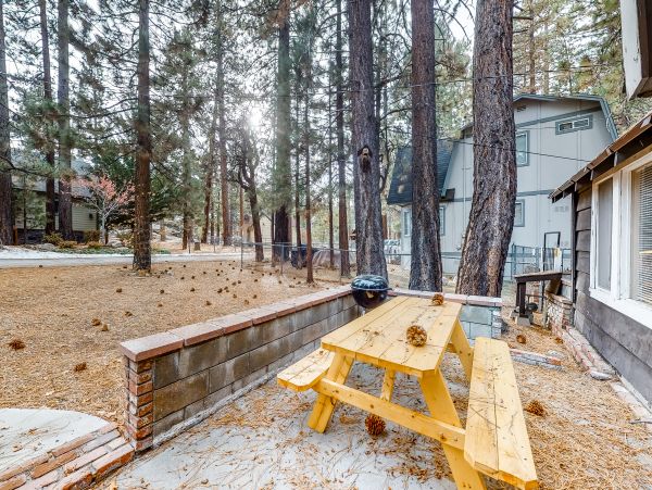 Big Bear Home 976092