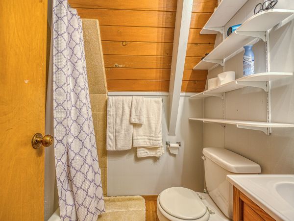 Big Bear Home 976093