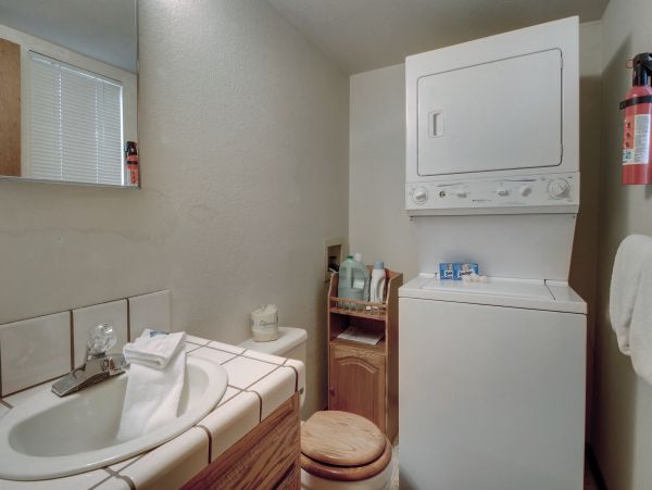 Big Bear Home 976094