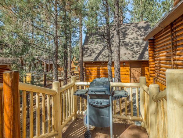 Big Bear Home 976096