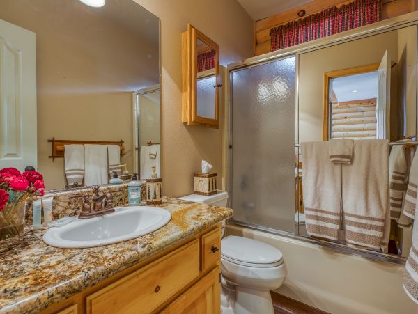 Big Bear Home 976096