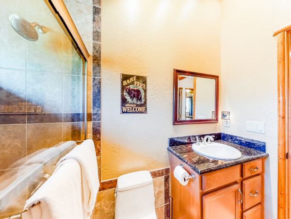 Big Bear Home 976098