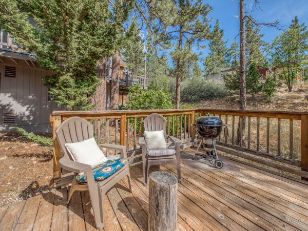 Big Bear Home 976100